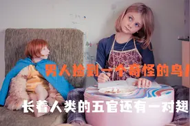 男人意外捡到一只小鸟 它居然长了一对鸡翅膀！视频封面