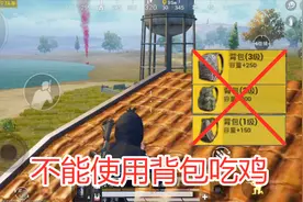 万能小阿丁：挑战任务不能使用背包吃鸡，应该如何分配物资？视频封面