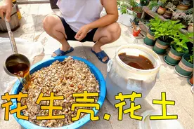 花生壳腐熟制成花土有哪几种方法？实拍3种方法的沤制过程视频封面