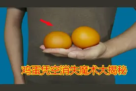 鸡蛋3秒消失？揭秘10大世界冠军级魔术之一！看完我服了视频封面