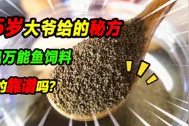 偷学86岁老大爷的养鱼饲料秘方，做了一款神秘饲料，真的靠谱吗视频封面