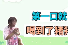 第一口就喝到了猪猪是什么梗？视频封面
