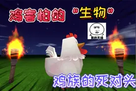 迷你世界：鸡害怕的“生物”看到所有的鸡都会跑开，鸡族的死对头视频封面