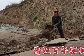百年窑洞破旧不堪，坍塌严重很危险，打理一下多用几年视频封面