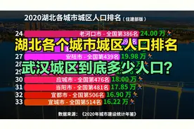 湖北38个城市城区人口排名，超100万的仅2座，看看你的家乡排第几视频封面