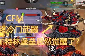 CFM加特林-堡垒觉醒评测，一跟班机枪和一双持飞斧的无解组合~视频封面
