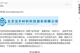 同行不同命，当升的毛利比别人低很多了，但增涨真的是快呀视频封面