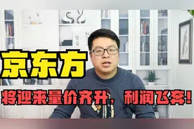 面板龙头京东方，面板需求强烈，量价齐升，未来利润将飞奔视频封面