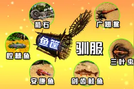方舟翻车雷鱼筐驯：广翅鲎鮟鱇鱼腔棘鱼菊石三叶虫食人鱼剑齿鲑鱼视频封面