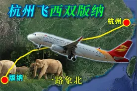 模拟从杭州一路向西飞往西双版纳的航班，从西子湖畔直达热带雨林视频封面