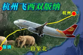 模拟从杭州一路向西飞往西双版纳的航班，从西子湖畔直达热带雨林视频封面