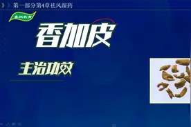 中药-香加皮的主治功效