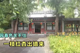 十二钗之一李纨竟红杏出墙，她的一番骚操作，还培养了状元郎贾兰视频封面