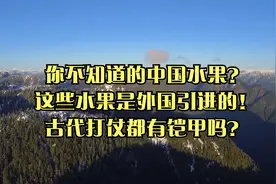 你不知道的中国水果？这些水果是外国引进的！古代打仗都有铠甲吗视频封面