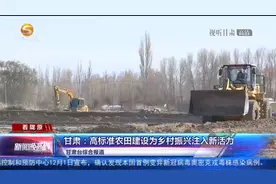 甘肃：高标准农田建设为乡村振兴注入新活力