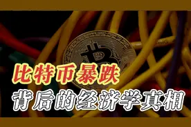 比特币大幅增长后暴跌，这是为何？比特币背后的真相视频封面