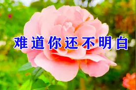 一首情歌《难道你还不明白》除了你我谁也不爱，今生今世不分开！