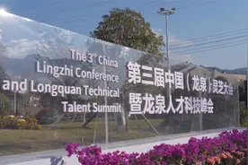 2022中国灵芝区域品牌价值榜单公布， 龙泉灵芝区域品牌值30.47亿视频封面