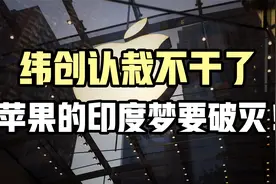 纬创认栽不干了，苹果的印度梦要破灭！视频封面