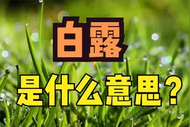 白露是什么意思？视频封面
