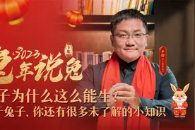 兔年说兔：兔子为什么这么能生？关于兔子你还有很多未了解的知识