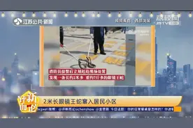 蛇出没！广东一居民小区惊现2米长眼镜王蛇，消防员到场轻松制服