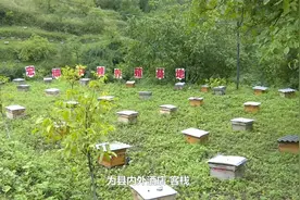 康县县委书记 张书怀