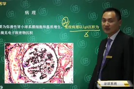 临床-泌尿系统02肾小球疾病：IgA肾病的定义、临床表现及诊断治疗视频封面