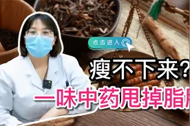 一味中药，帮你减掉内脏脂肪视频封面