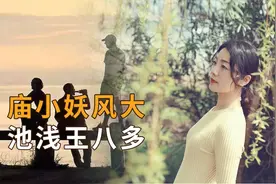“庙小妖风大，池浅王八多”，三种小圈子，远离才是上上策视频封面