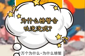 为什么螃蟹会吐白色的泡泡呢？视频封面