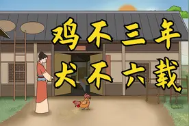 俗语“鸡不三年，犬不六载”啥意思？老话讲的在理么？视频封面