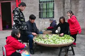 涪陵榨菜之老咸菜制作全过程，换一个方法，会不会更好吃视频封面