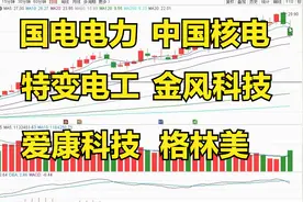国电电力、特变电工、金风科技、爱康科技、格林美，客观解读视频封面