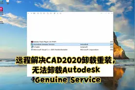 远程解决CAD2020卸载重装，无法卸载Autodesk Genuine Service