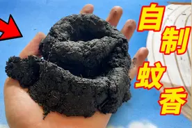 用8斤雄黄粉和艾草做蚊香，所到之处，寸蚊子不生！视频封面