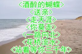 <酒醉的蝴蝶><送亲><走天涯><你莫走><一路向北><花桥流水><站着视频封面