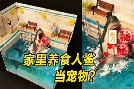 模型：宠物猫狗不流行了，你可以考虑在家里养食人鲨，就是费命！视频封面