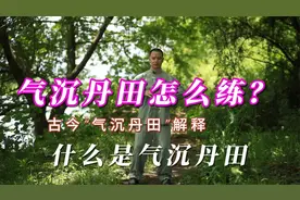 怎么“气沉丹田”？进来跟着练 （古今解释）视频封面