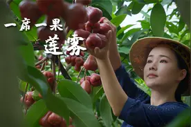 一席一果（十六）莲雾———长在树上的“矿泉水”视频封面