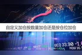 自定义加仓按数量加仓还是按仓位加仓