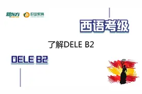 【西语】DELE考试介绍视频封面