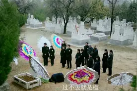 情满九道弯：大结局杨树茂认子，与叶菲领证结婚，赵亚静去世视频封面