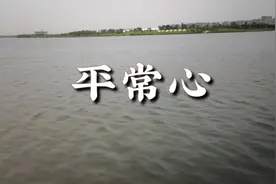 看20年前的段永平如何经营企业，在股票投资上有什么启发？视频封面