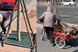 河北大妈拆掉小树支撑棍引众怒，目击者上前劝阻引争执，官方介入视频封面