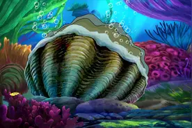 第90集：大堡礁，益智科普动画片《海尔兄弟》关注看合集视频封面