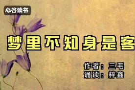 三毛《梦里不知身是客》读喜欢的书，为自己而活，内心安宁终不悔视频封面