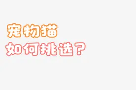 北京12345多名话务员为市民服务视频封面