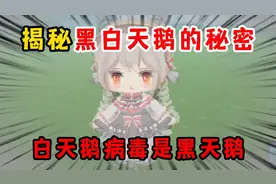 迷你世界：揭秘黑白天鹅的秘密，白天鹅病毒竟然是黑天鹅视频封面