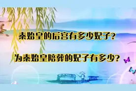 秦始皇的后宫有多少妃子？为秦始皇陪葬的妃子有多少？视频封面